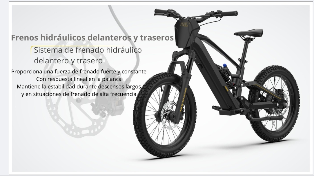 Características Bicicleta eléctrica RFN ZIP 20